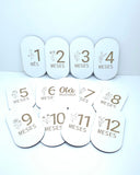 Placas de "Mêsversário" - Milestones - Flowers